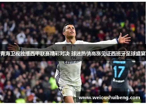 青海卫视独播西甲联赛精彩对决 球迷热情高涨见证西班牙足球盛宴
